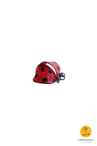 calamita a forma di coccinella